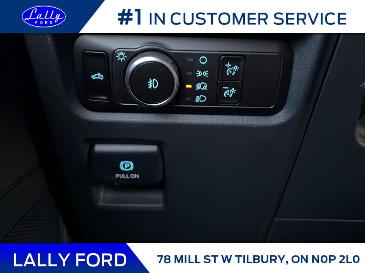 2026 Ford F-150 XLT 4WD SuperCrew 5.5' Box Photo