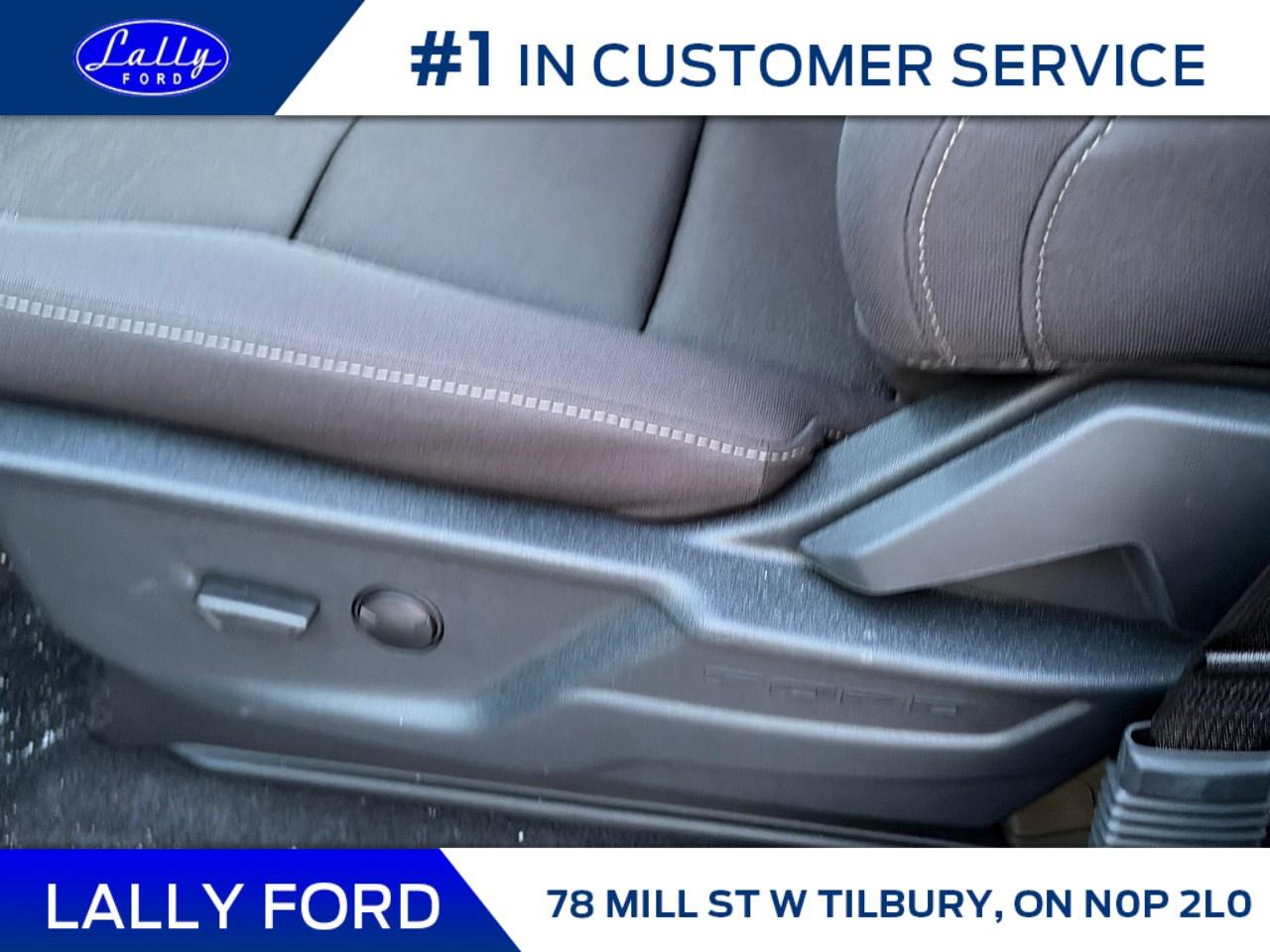 2026 Ford F-150 XLT 4WD SuperCrew 5.5' Box Photo