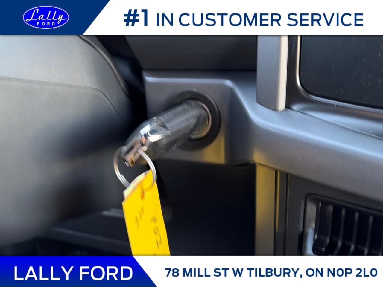 2026 Ford F-150 XLT 4WD SuperCrew 5.5' Box Photo