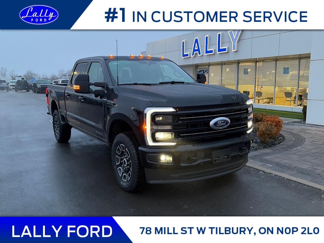 2026 Ford F-250 Super Duty SRW PLATINUM 4WD CREW CAB 6.75' BOX Photo