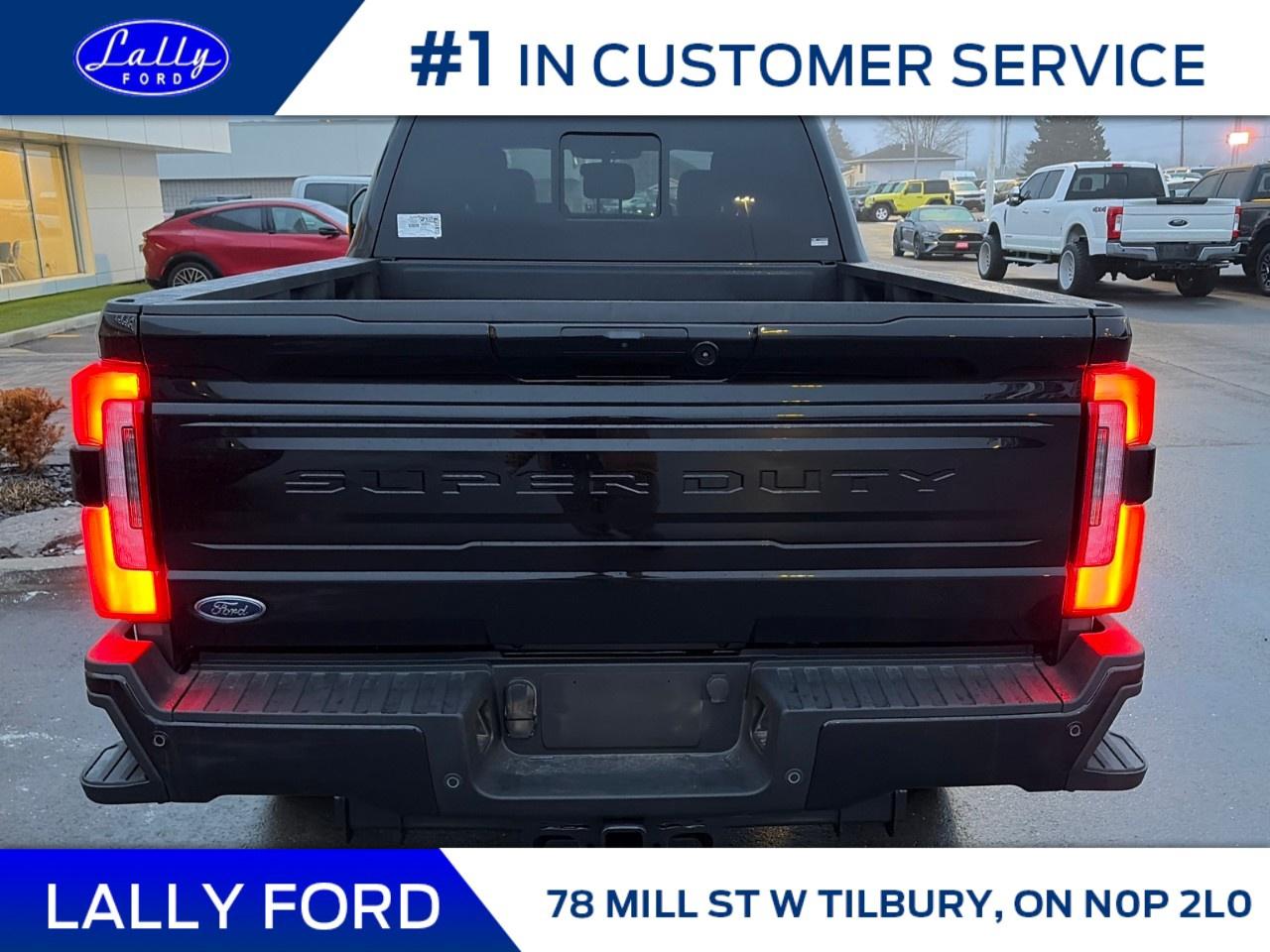 2026 Ford F-250 Super Duty SRW PLATINUM 4WD CREW CAB 6.75' BOX Photo