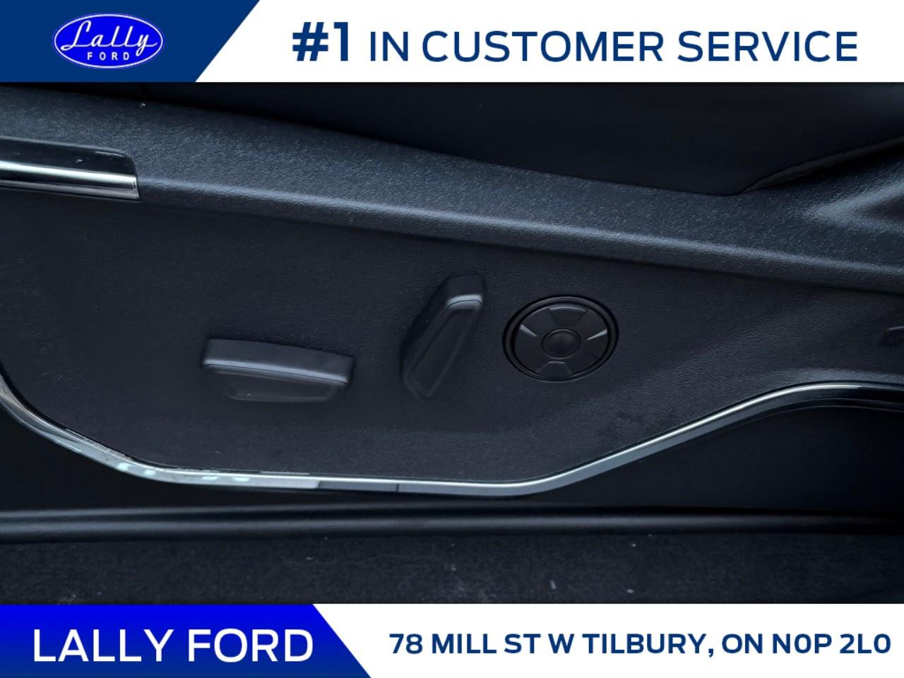 2026 Ford F-250 Super Duty SRW PLATINUM 4WD CREW CAB 6.75' BOX Photo