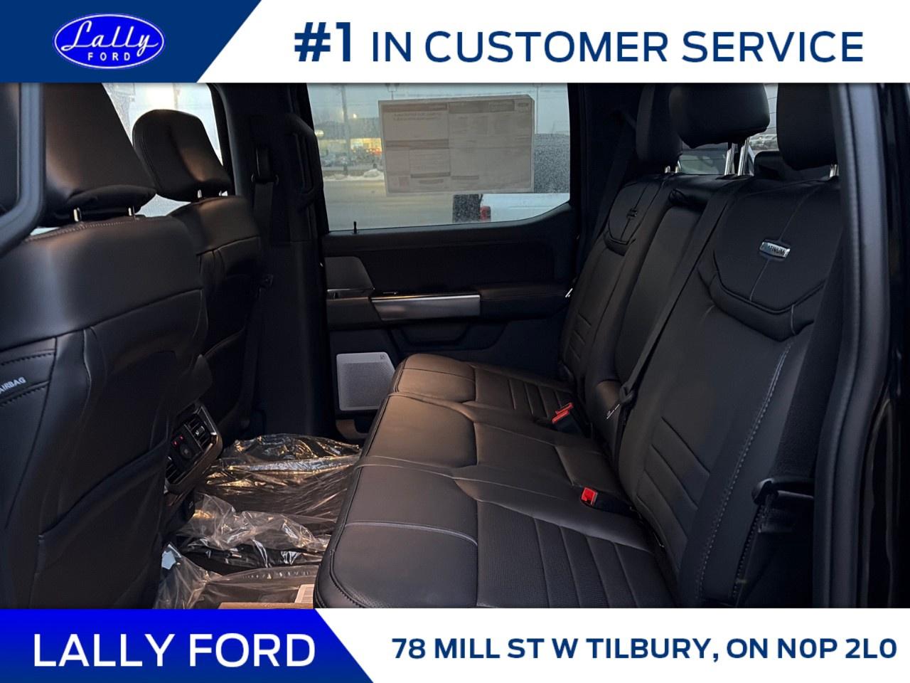 2026 Ford F-250 Super Duty SRW PLATINUM 4WD CREW CAB 6.75' BOX Photo