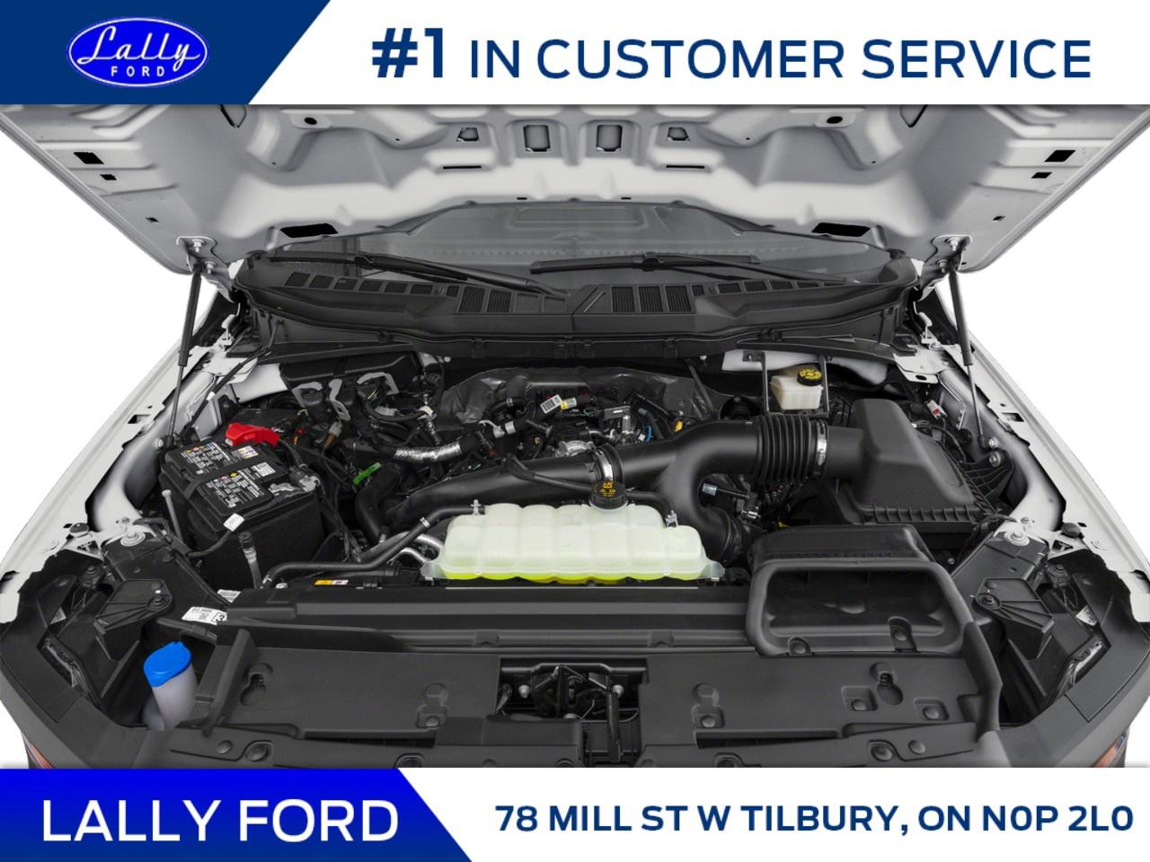 2025 Ford F-150 XL 4WD SUPERCREW 6.5' BOX Photo