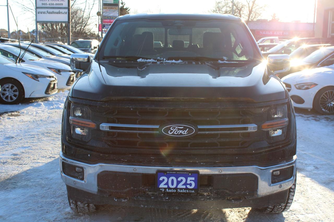 2025 Ford F-150 XLT 4WD SuperCrew 6.5' Box Photo