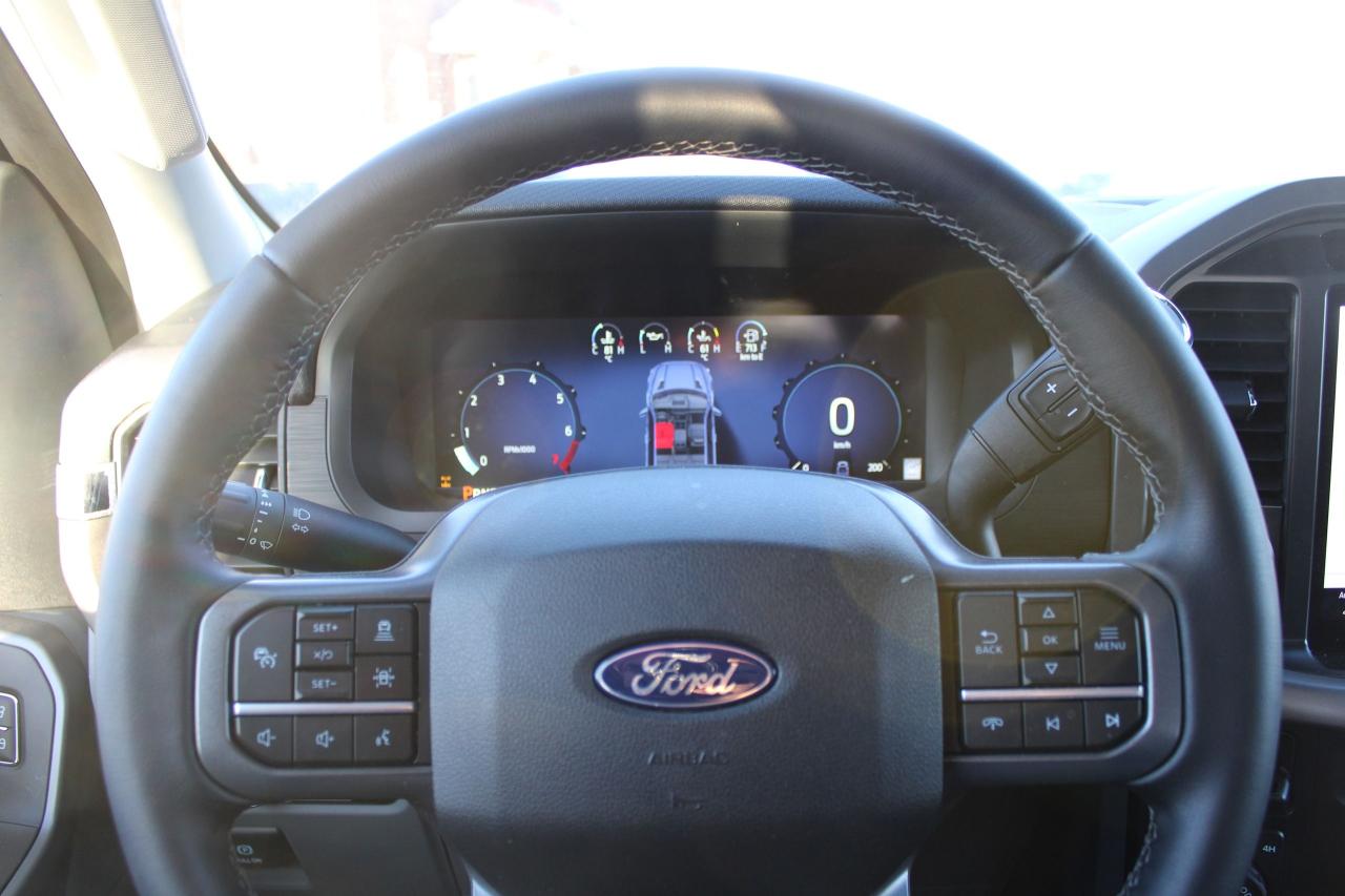 2025 Ford F-150 XLT 4WD SuperCrew 6.5' Box Photo