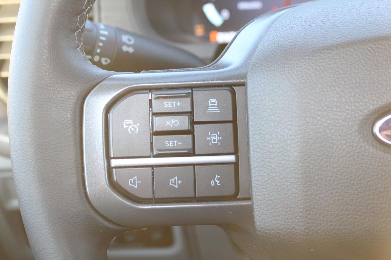 2025 Ford F-150 XLT 4WD SuperCrew 6.5' Box Photo