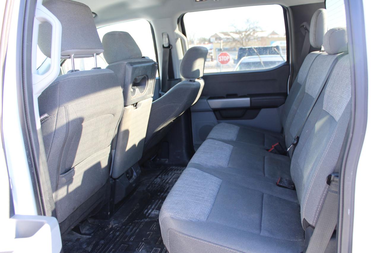 2024 Ford SUPER DUTY F-250 SRW XLT 4WD Crew Cab 8' Box Photo