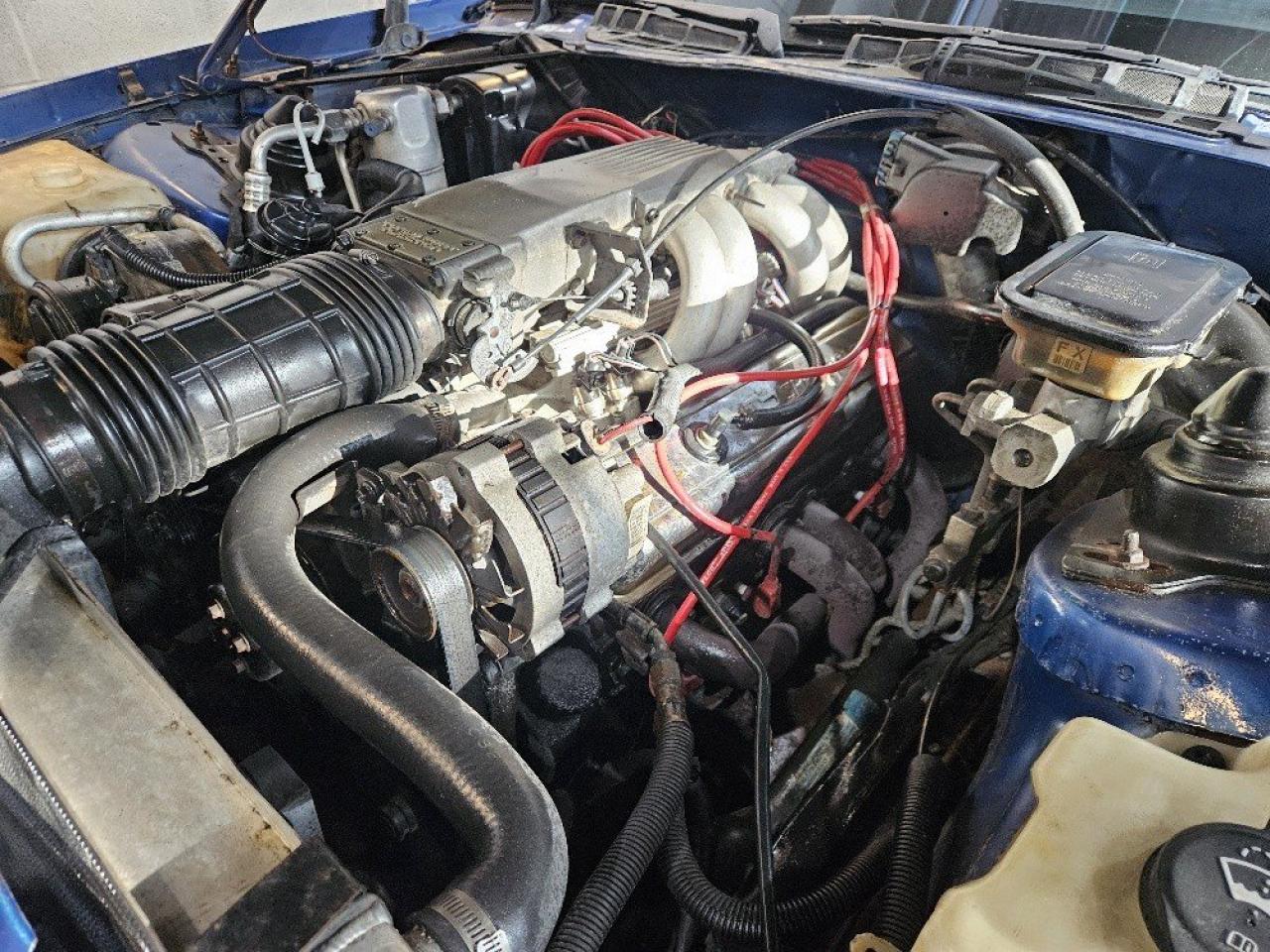 1991 Chevrolet Camaro Z28 CONVERTIBLE **NEW TOP-CERTIFIED** Photo