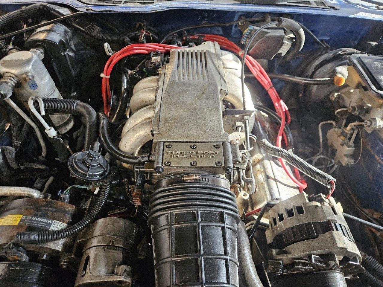 1991 Chevrolet Camaro Z28 CONVERTIBLE **NEW TOP-CERTIFIED** Photo