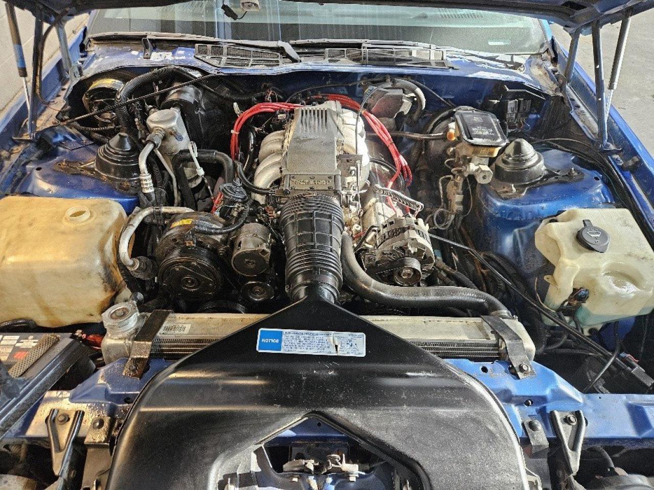 1991 Chevrolet Camaro Z28 CONVERTIBLE **NEW TOP-CERTIFIED** Photo