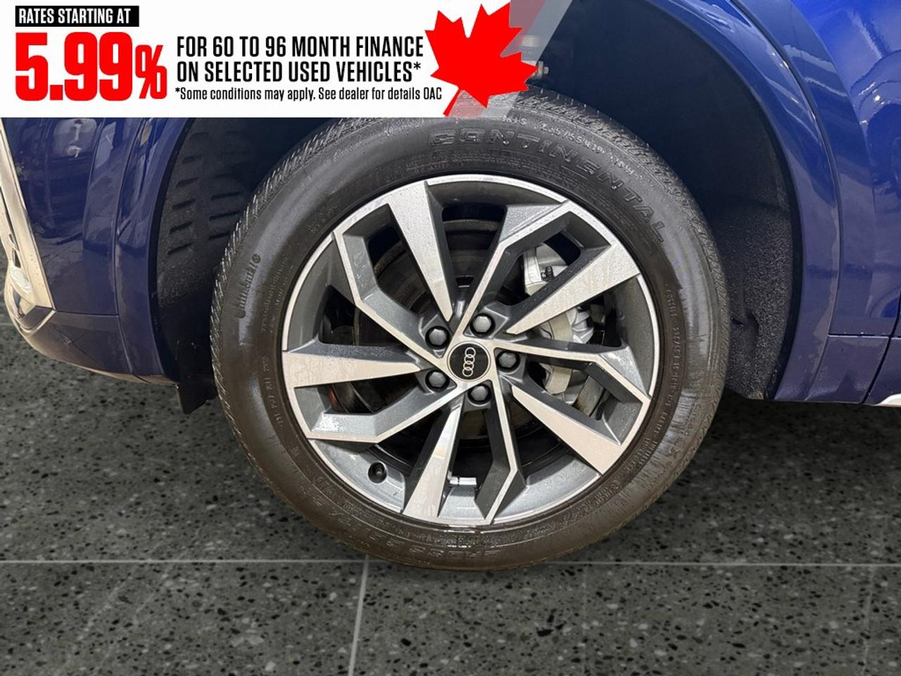 2023 Audi Q5 Progressiv 45 TFSI quattro Photo