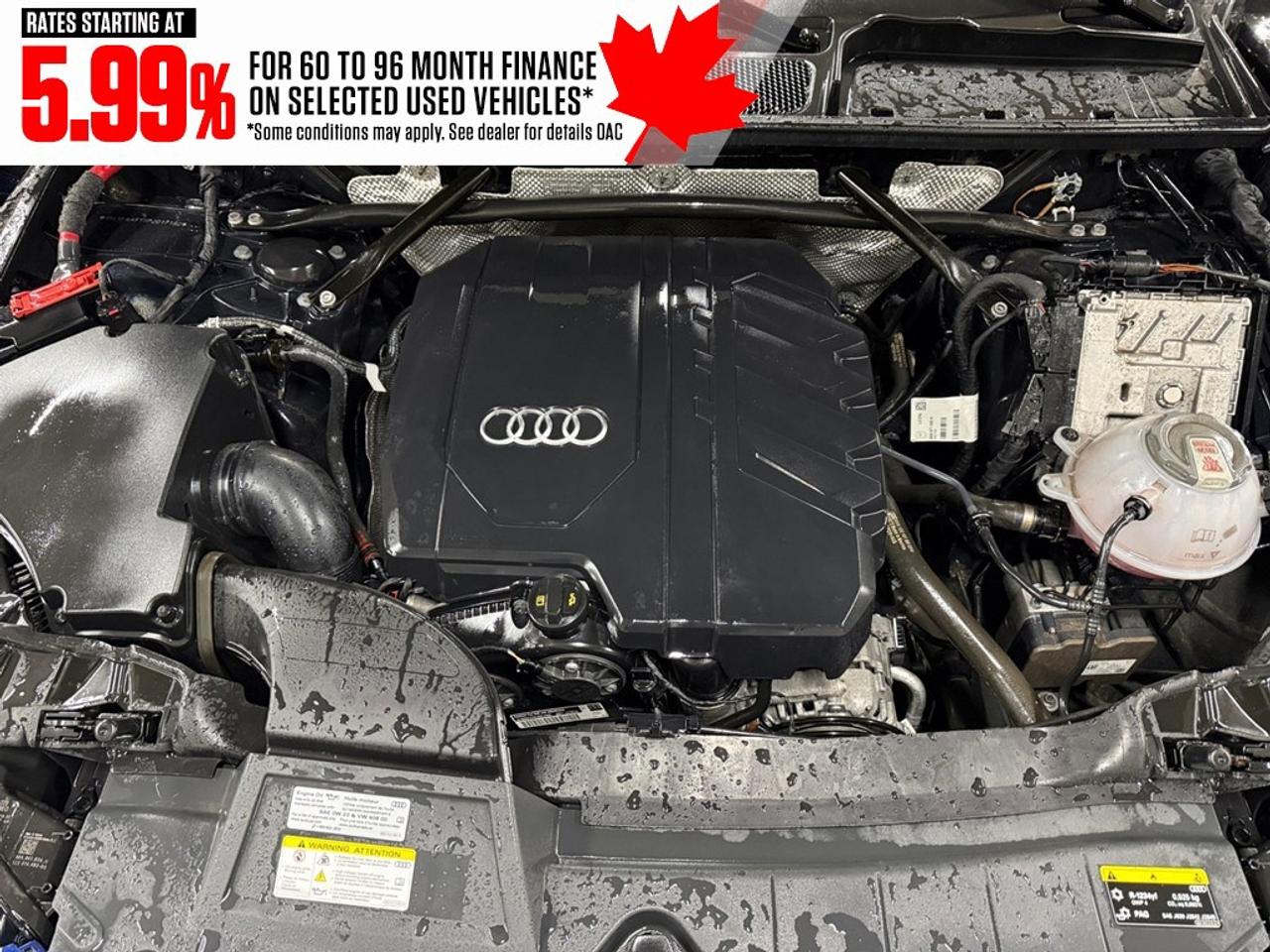 2023 Audi Q5 Progressiv 45 TFSI quattro Photo