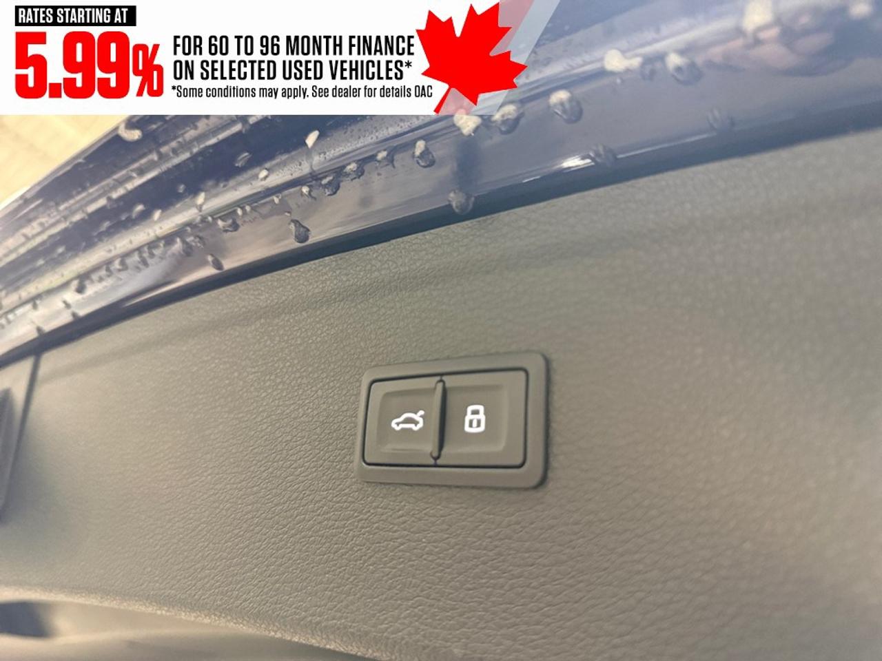 2023 Audi Q5 Progressiv 45 TFSI quattro Photo