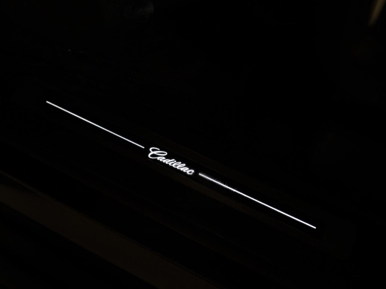 2019 Cadillac Escalade ESV PREMIUM LUXURY | 7 PASS | DVD | 22 IN Photo