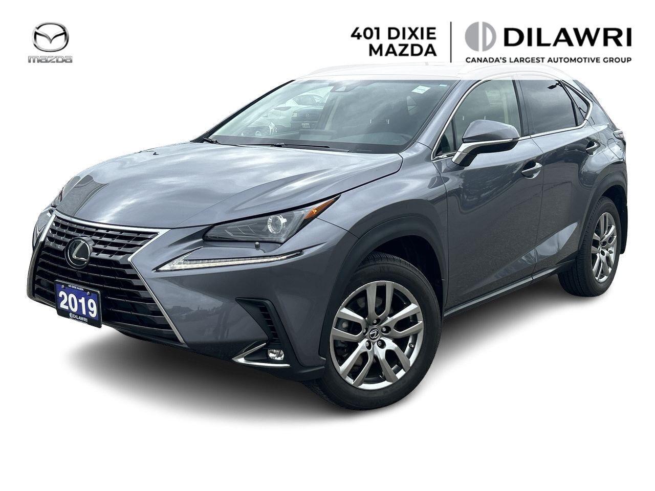 2019 Lexus NX 300 (2) Photo0