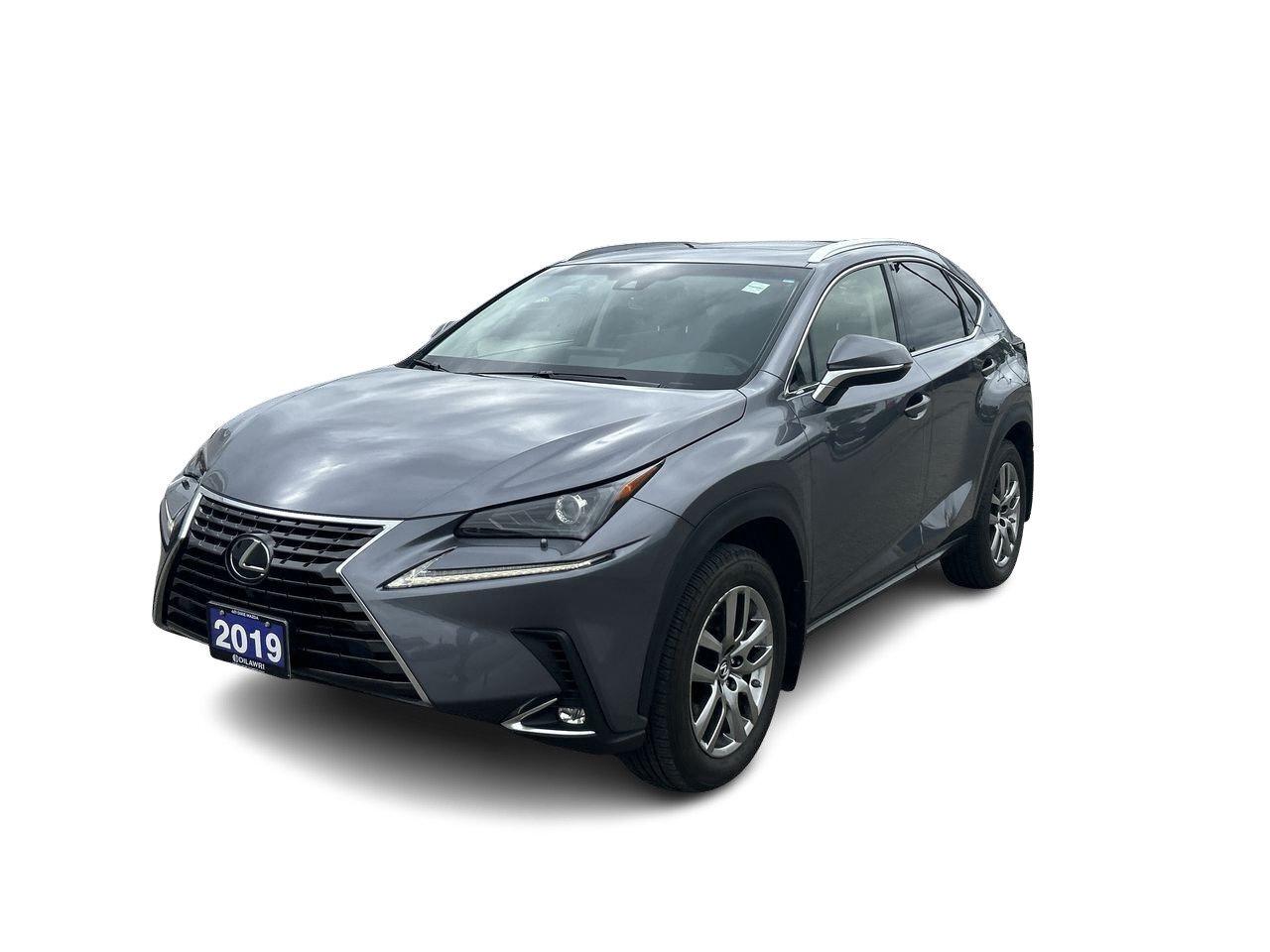 2019 Lexus NX 300 (2) Photo