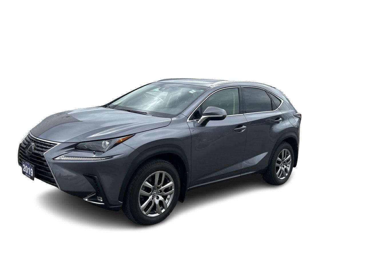 2019 Lexus NX 300 (2) Photo