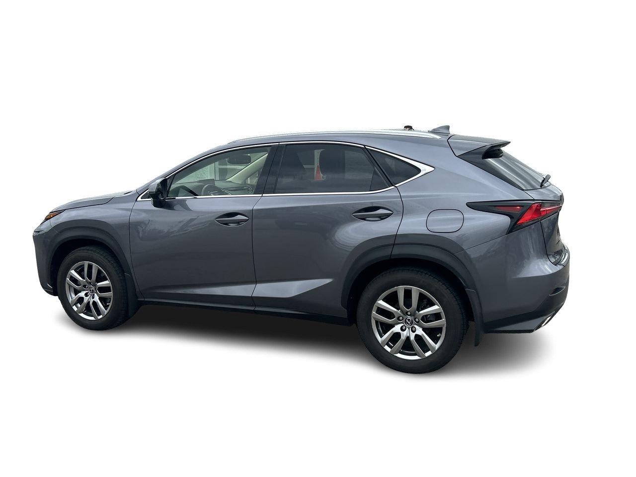 2019 Lexus NX 300 (2) Photo