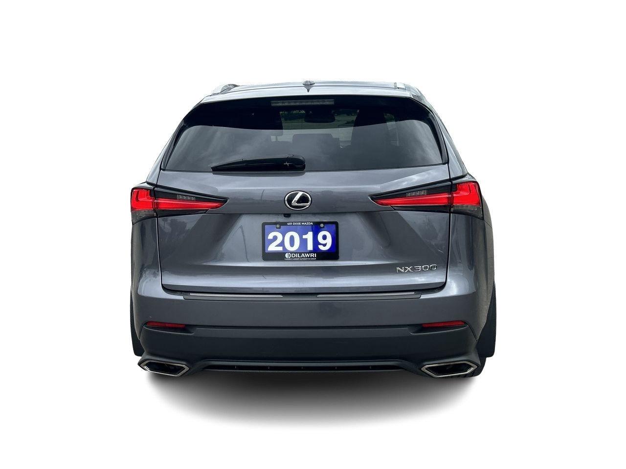 2019 Lexus NX 300 (2) Photo