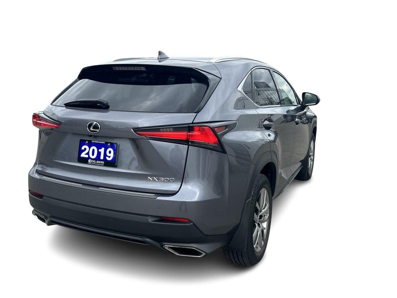 2019 Lexus NX 300 (2) Photo