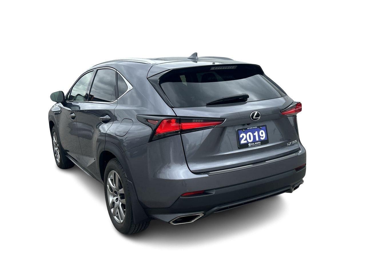 2019 Lexus NX 300 (2) Photo