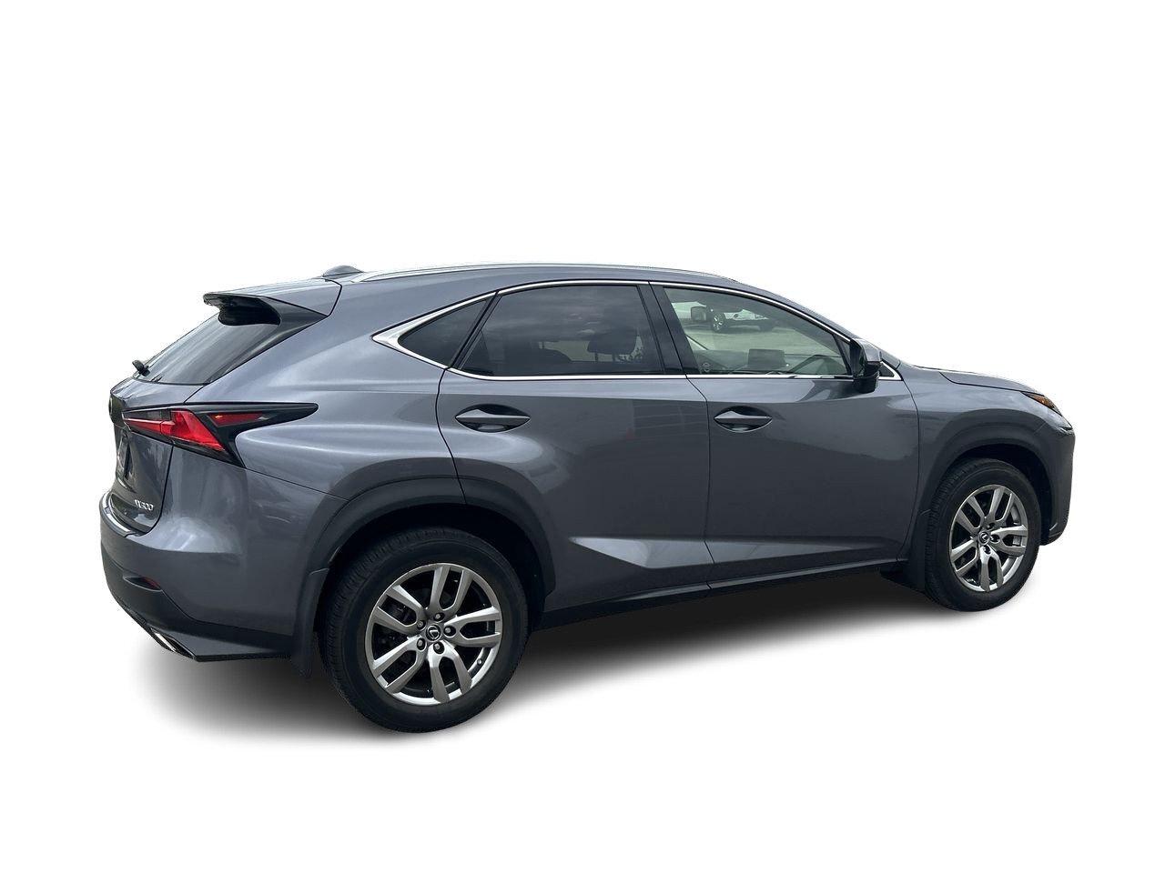 2019 Lexus NX 300 (2) Photo