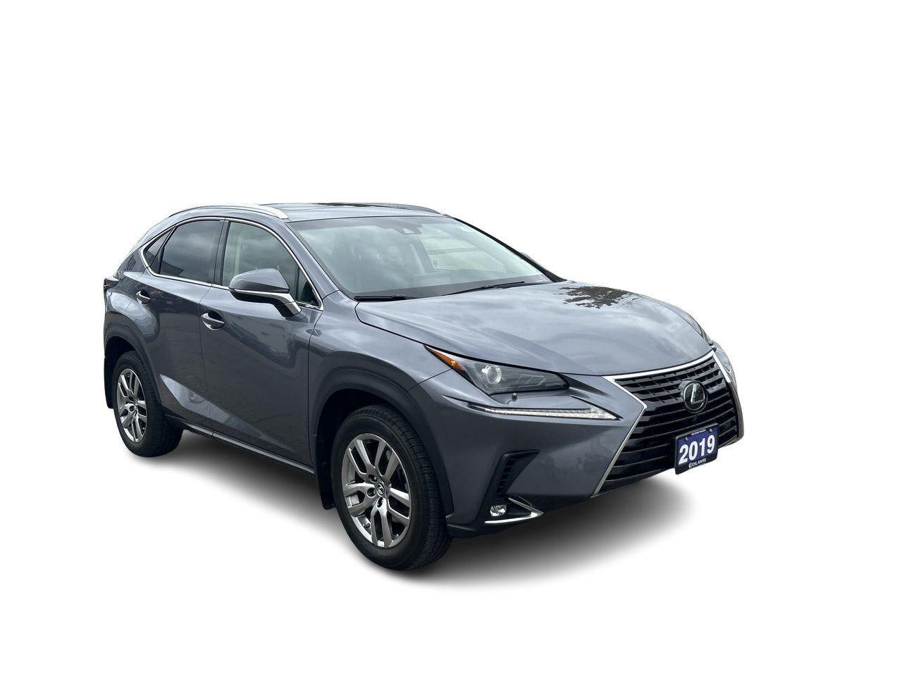 2019 Lexus NX 300 (2) Photo