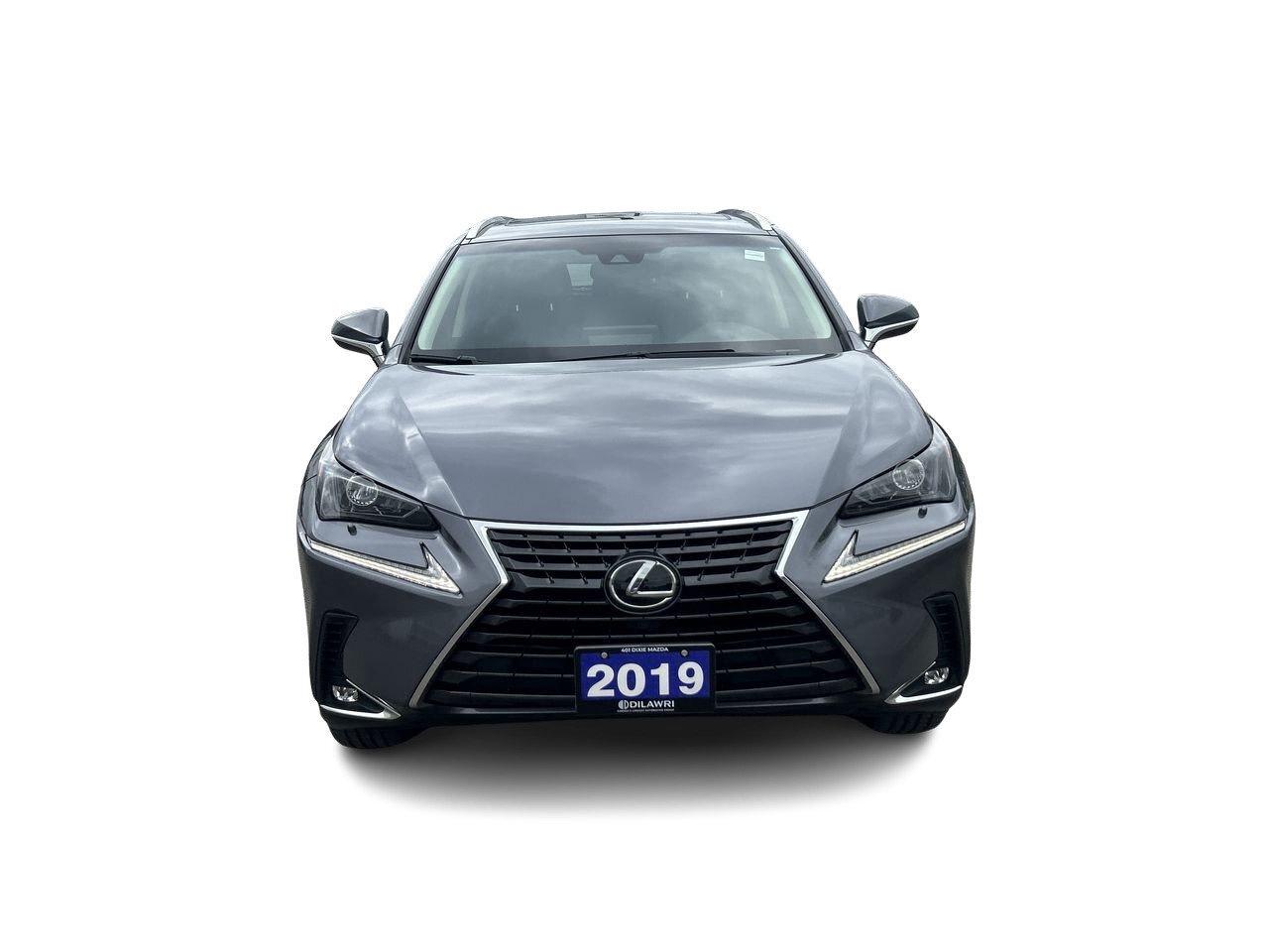 2019 Lexus NX 300 (2) Photo