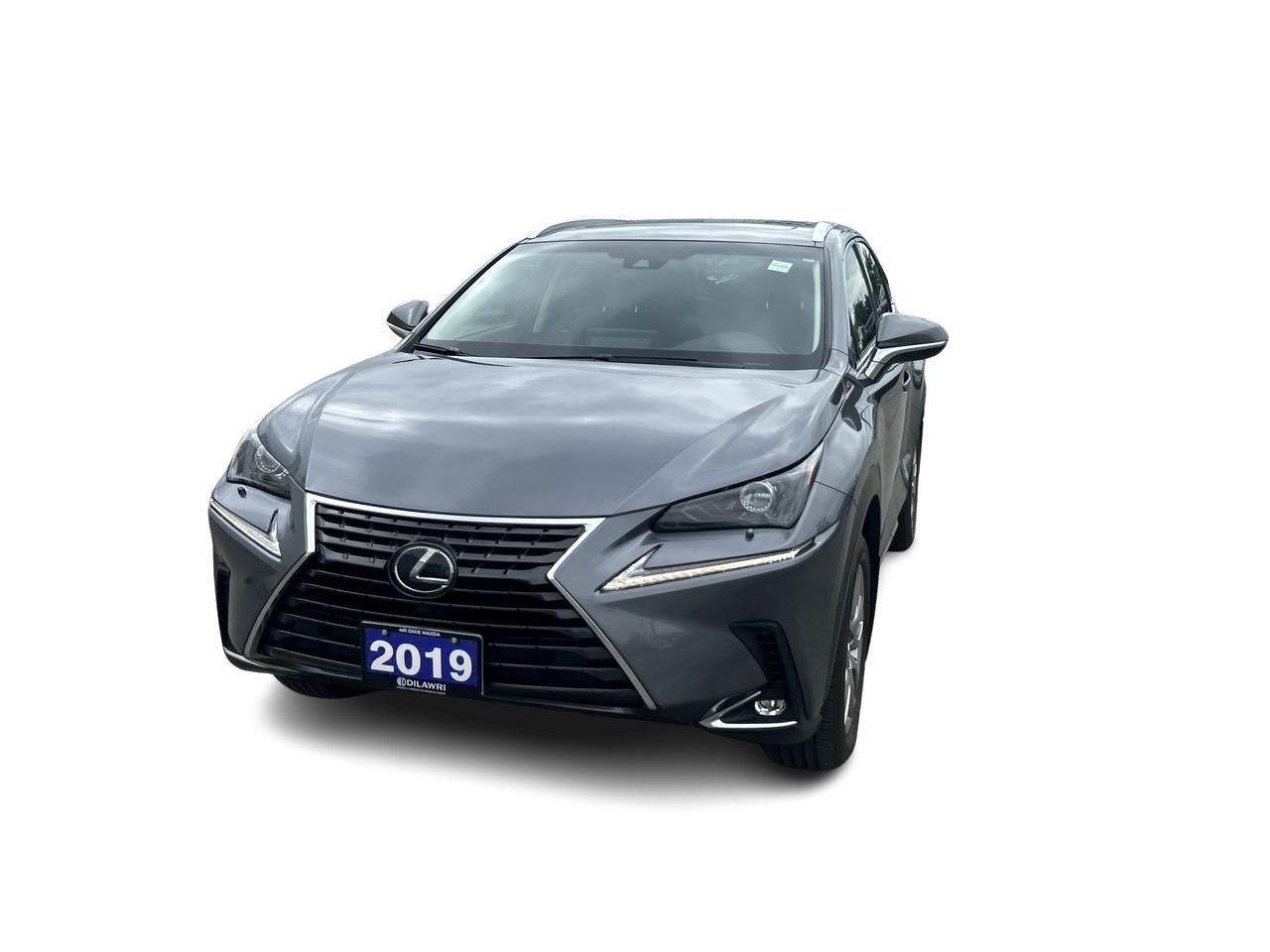 2019 Lexus NX 300 (2) Photo