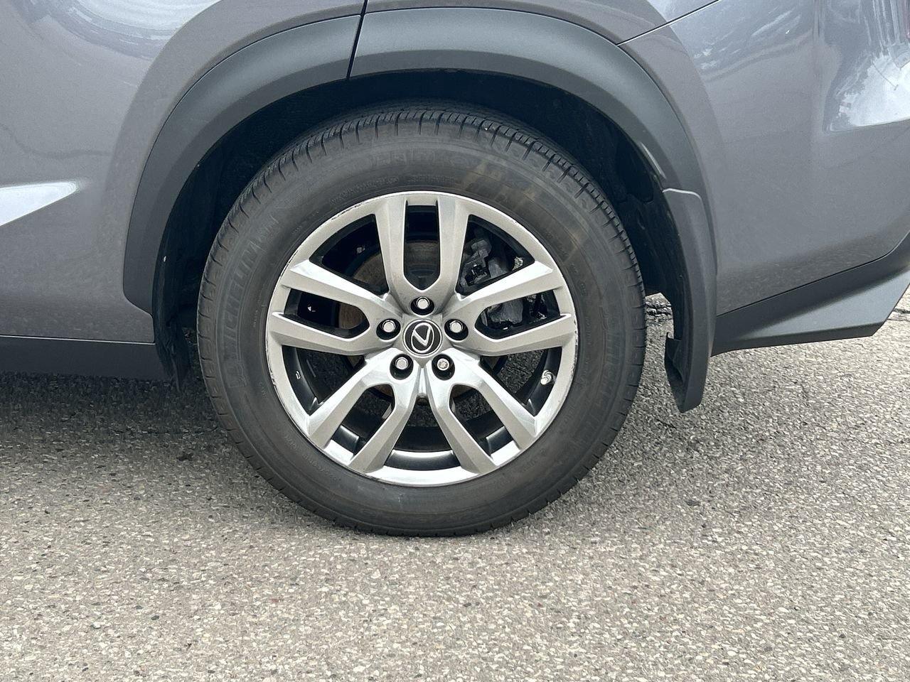 2019 Lexus NX 300 (2) Photo