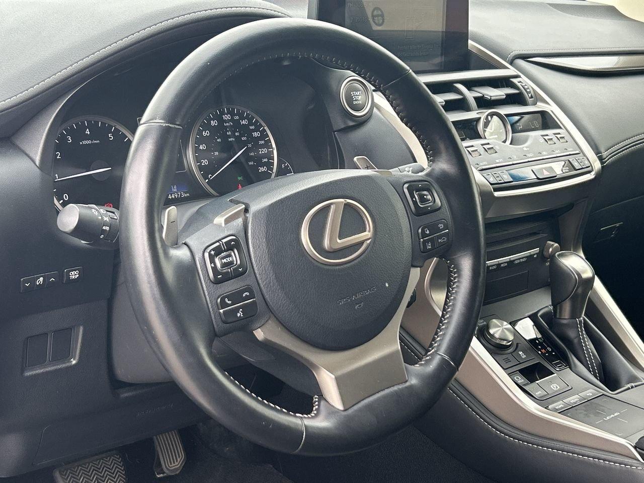 2019 Lexus NX 300 (2) Photo