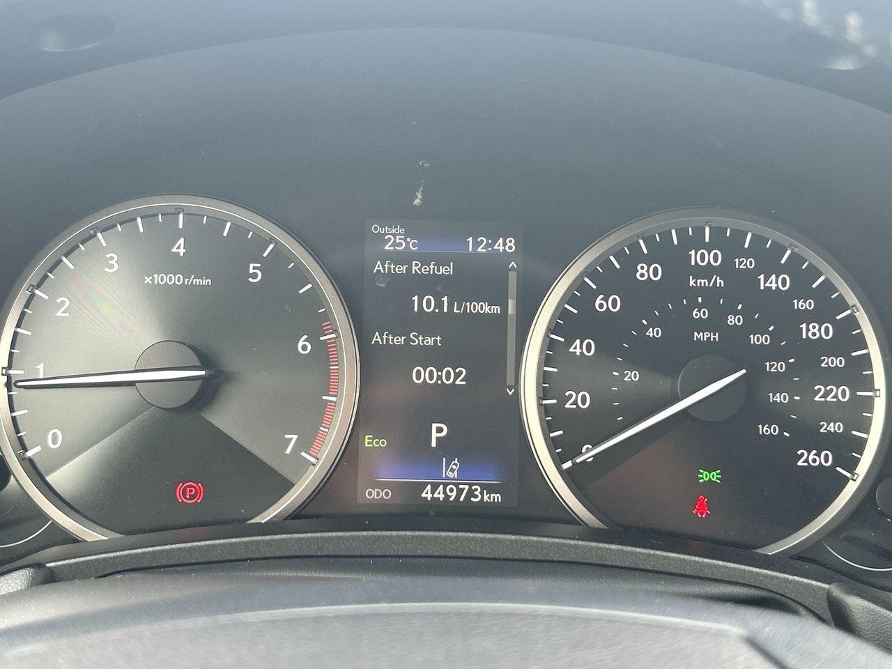 2019 Lexus NX 300 (2) Photo