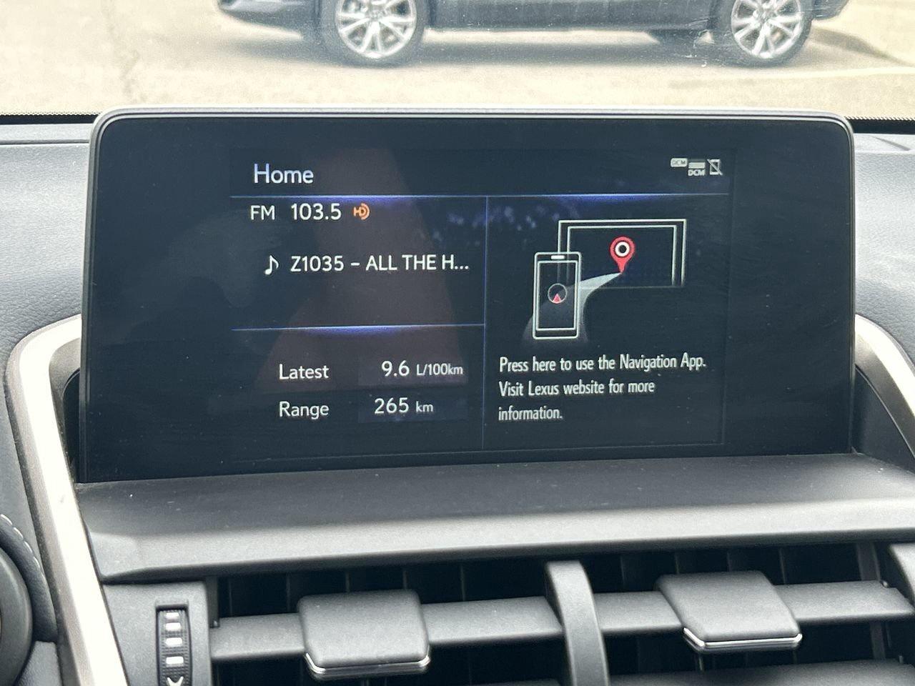 2019 Lexus NX 300 (2) Photo