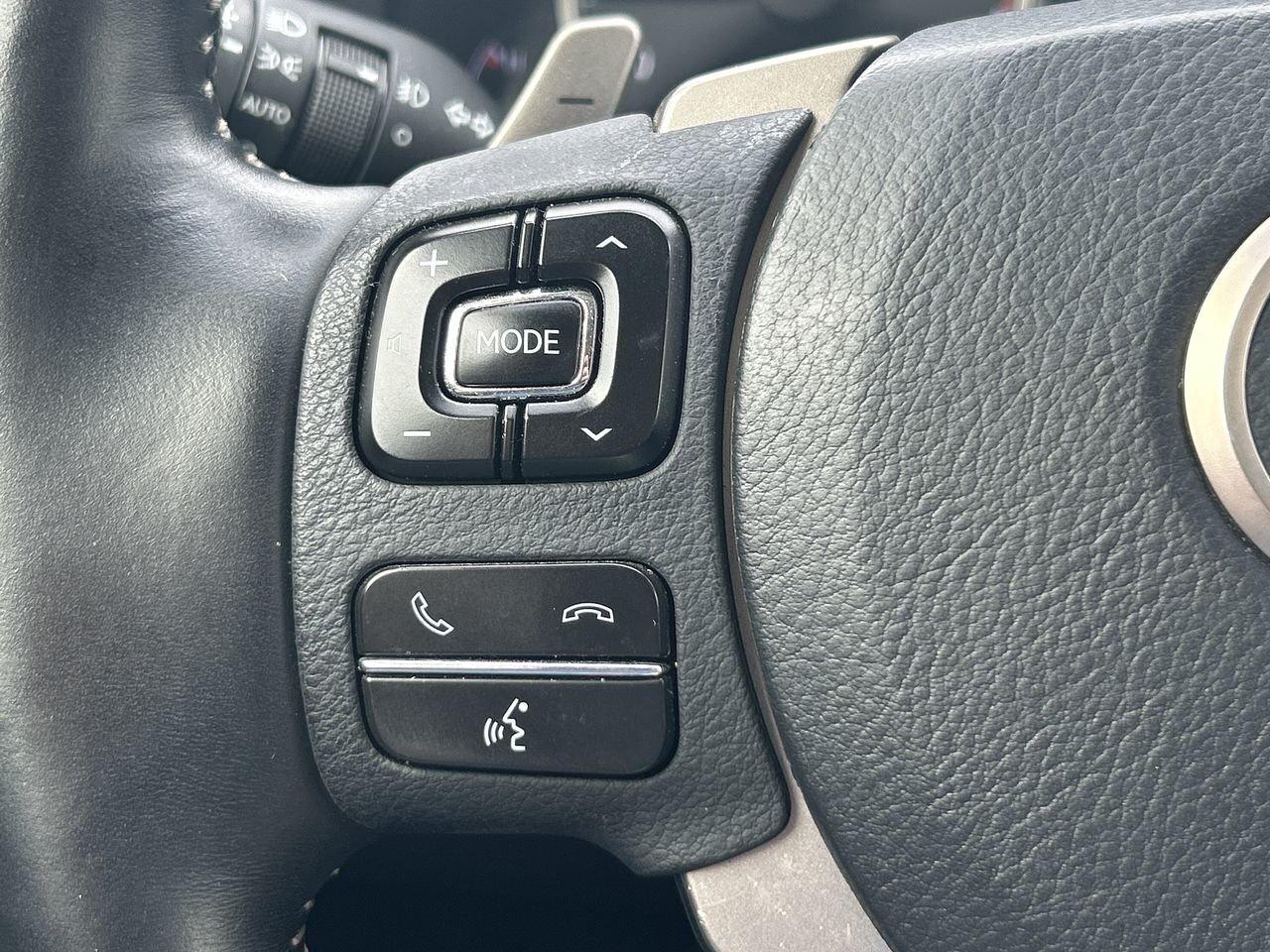 2019 Lexus NX 300 (2) Photo