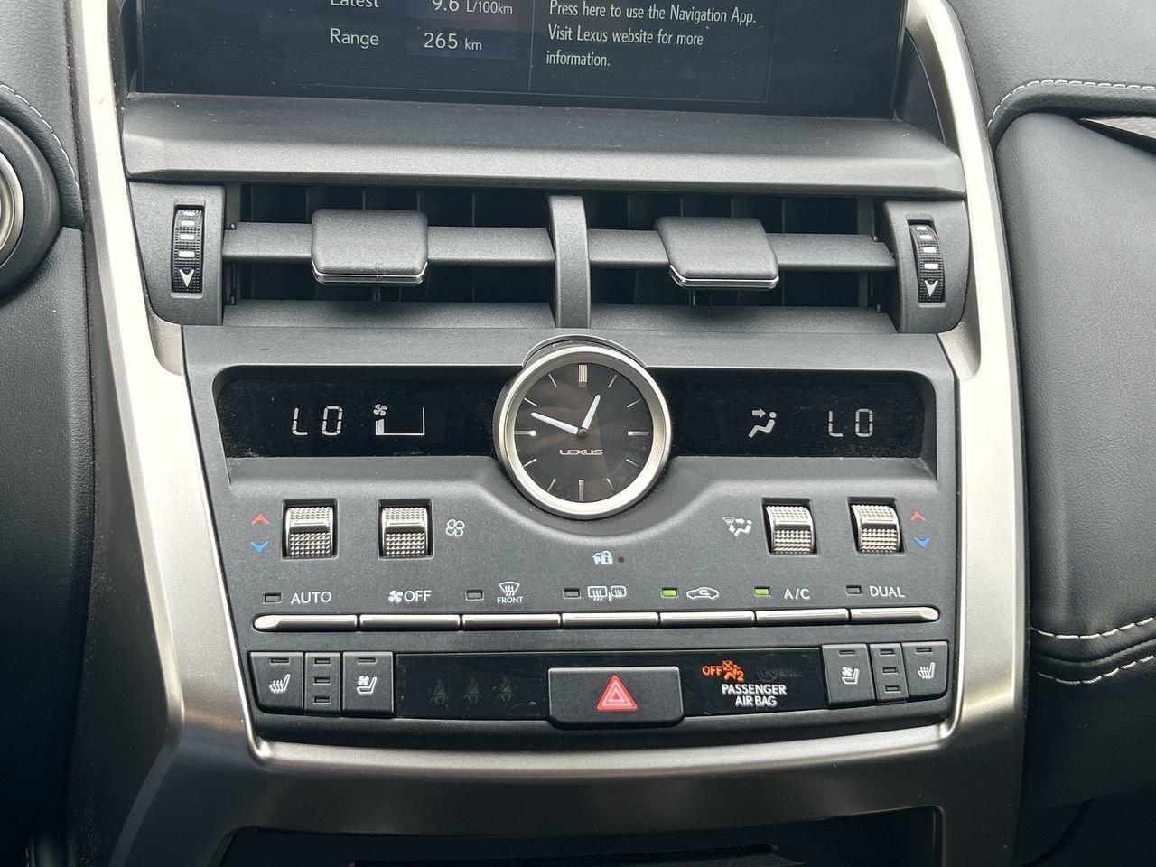 2019 Lexus NX 300 (2) Photo