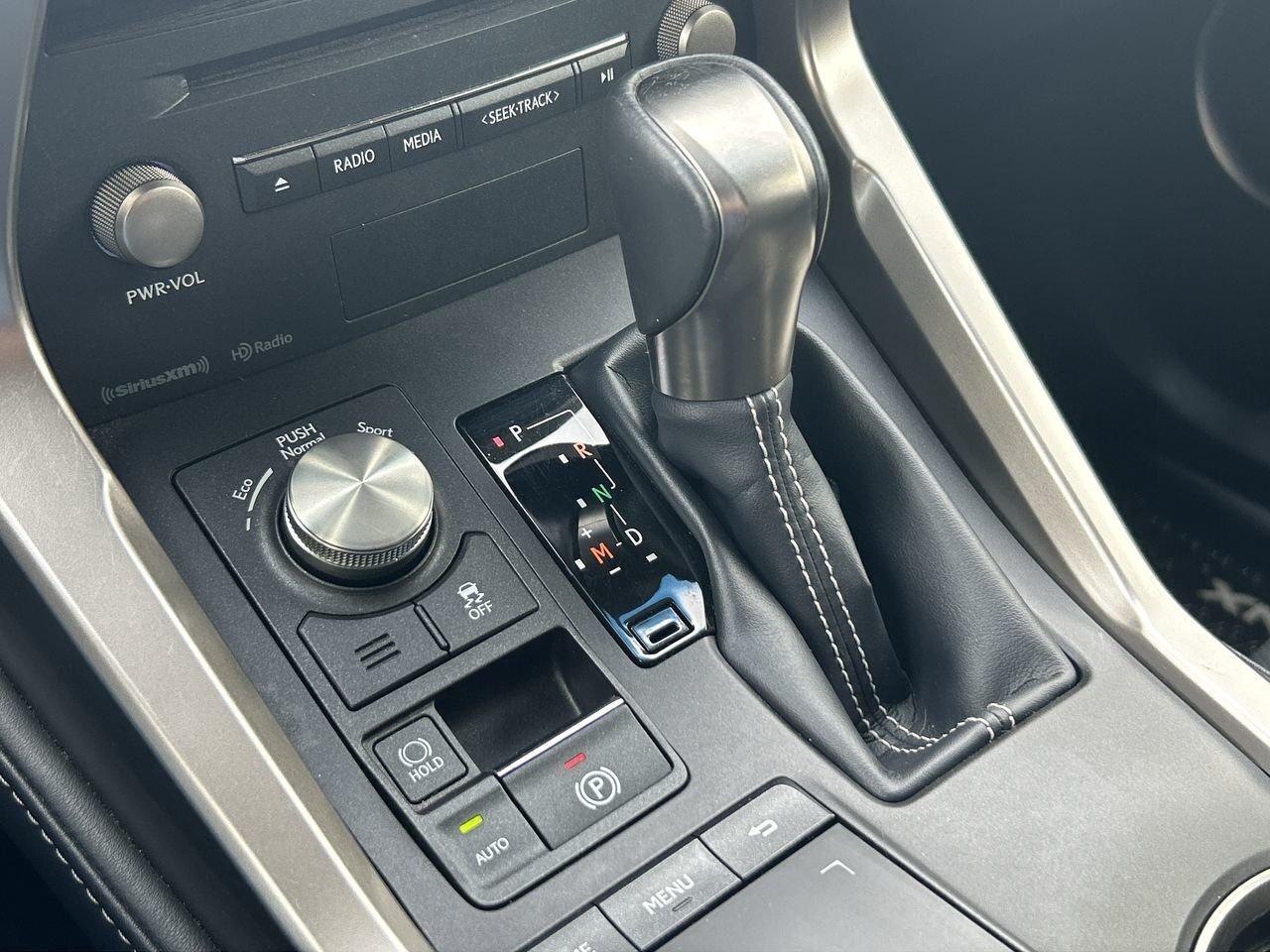 2019 Lexus NX 300 (2) Photo