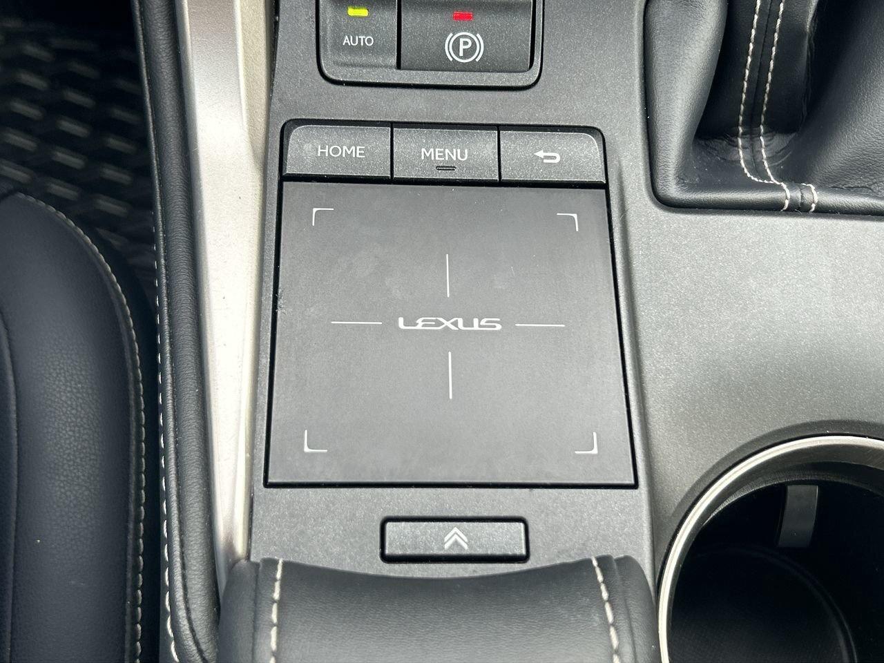 2019 Lexus NX 300 (2) Photo