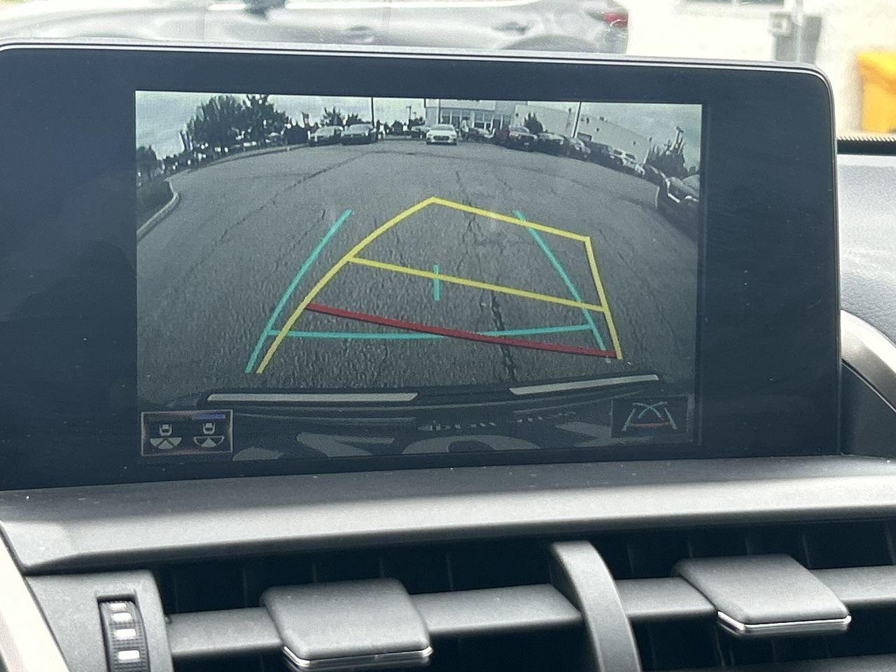 2019 Lexus NX 300 (2) Photo