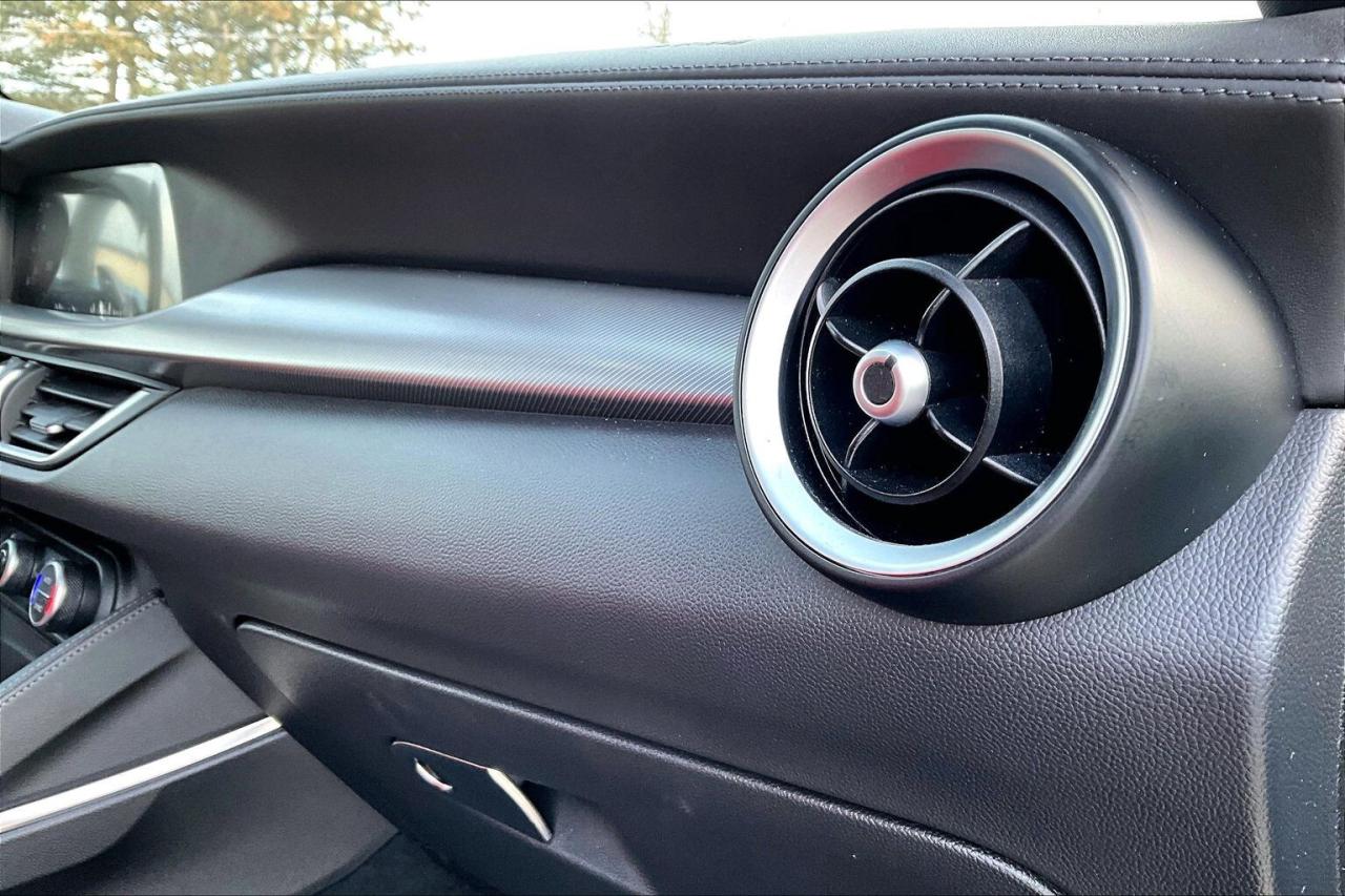 2022 Alfa Romeo Stelvio Veloce | Premium Leather | Harman Kardon | AWD Photo