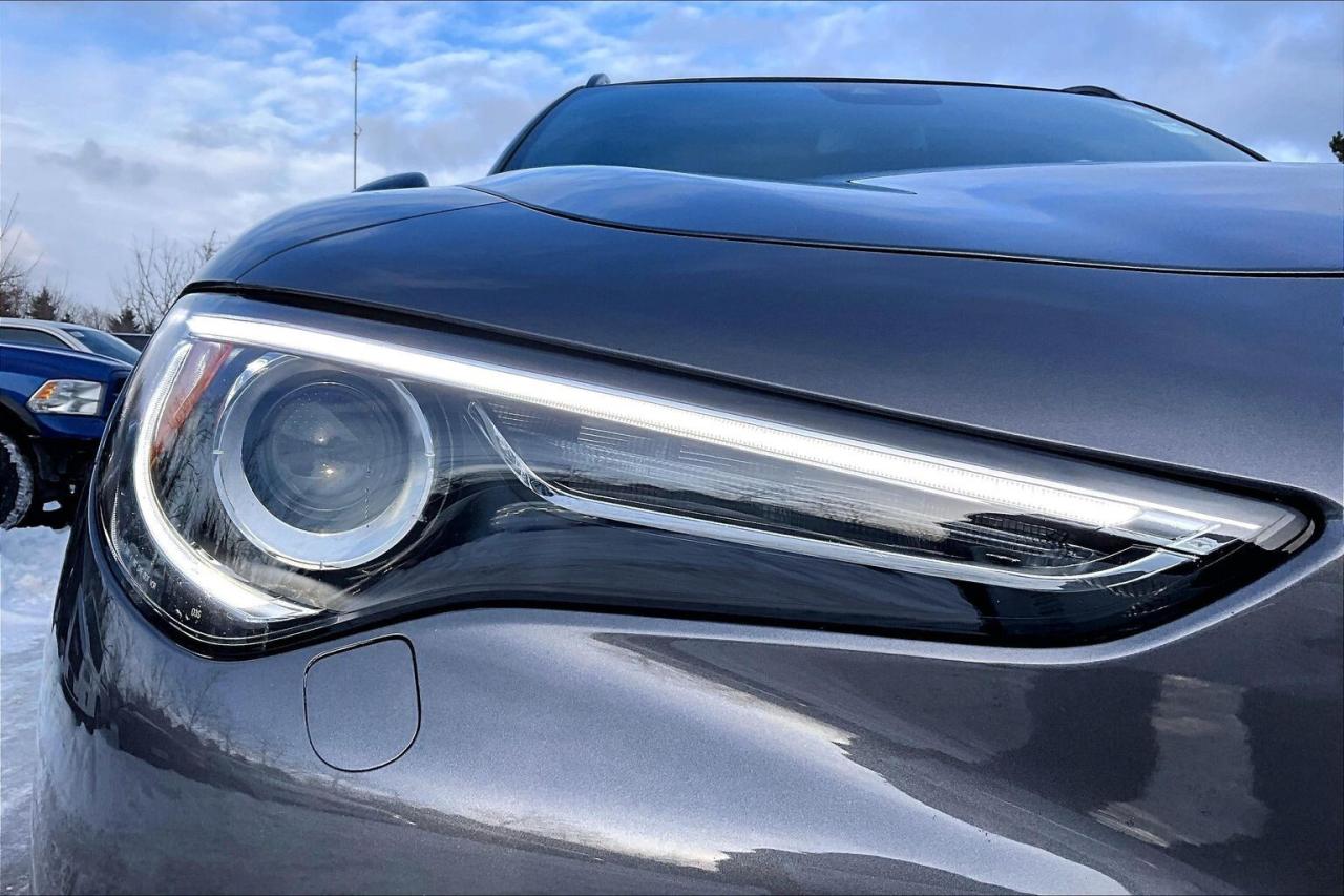 2022 Alfa Romeo Stelvio Veloce | Premium Leather | Harman Kardon | AWD Photo