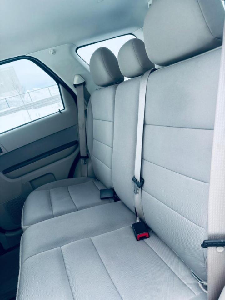 2012 Ford Escape XLT 4dr 4x4 Automatic Photo