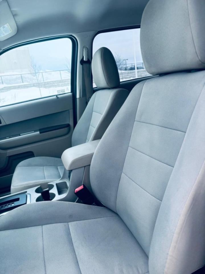 2012 Ford Escape XLT 4dr 4x4 Automatic Photo