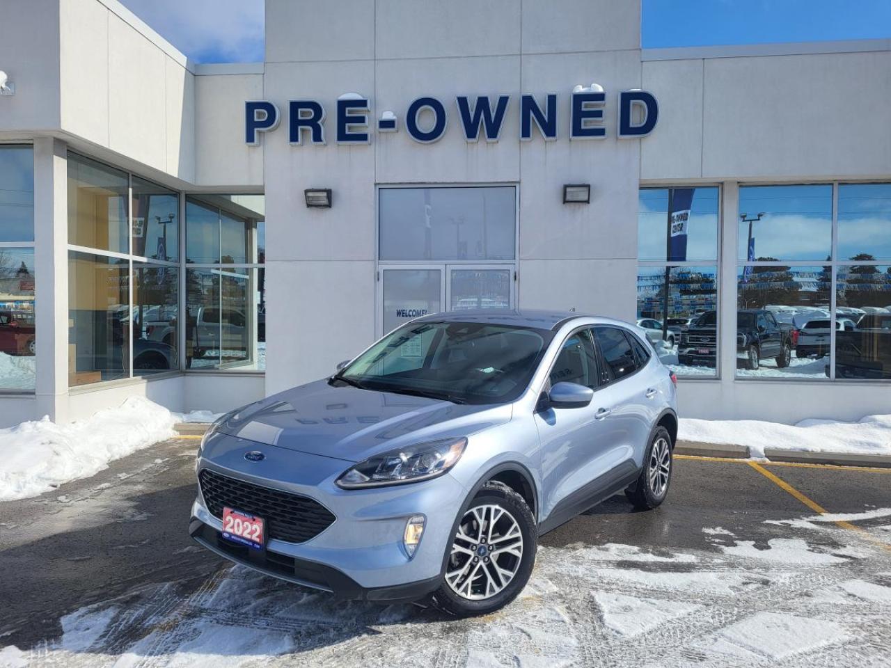 2022 Ford Escape Hybrid SEL Hybrid AWD Photo