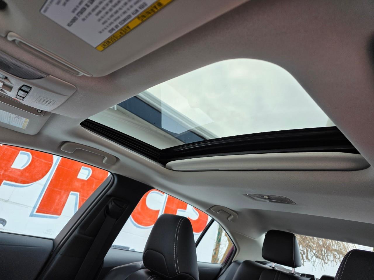 2020 Toyota Corolla XLE (CVT) 4dr Sedan Photo