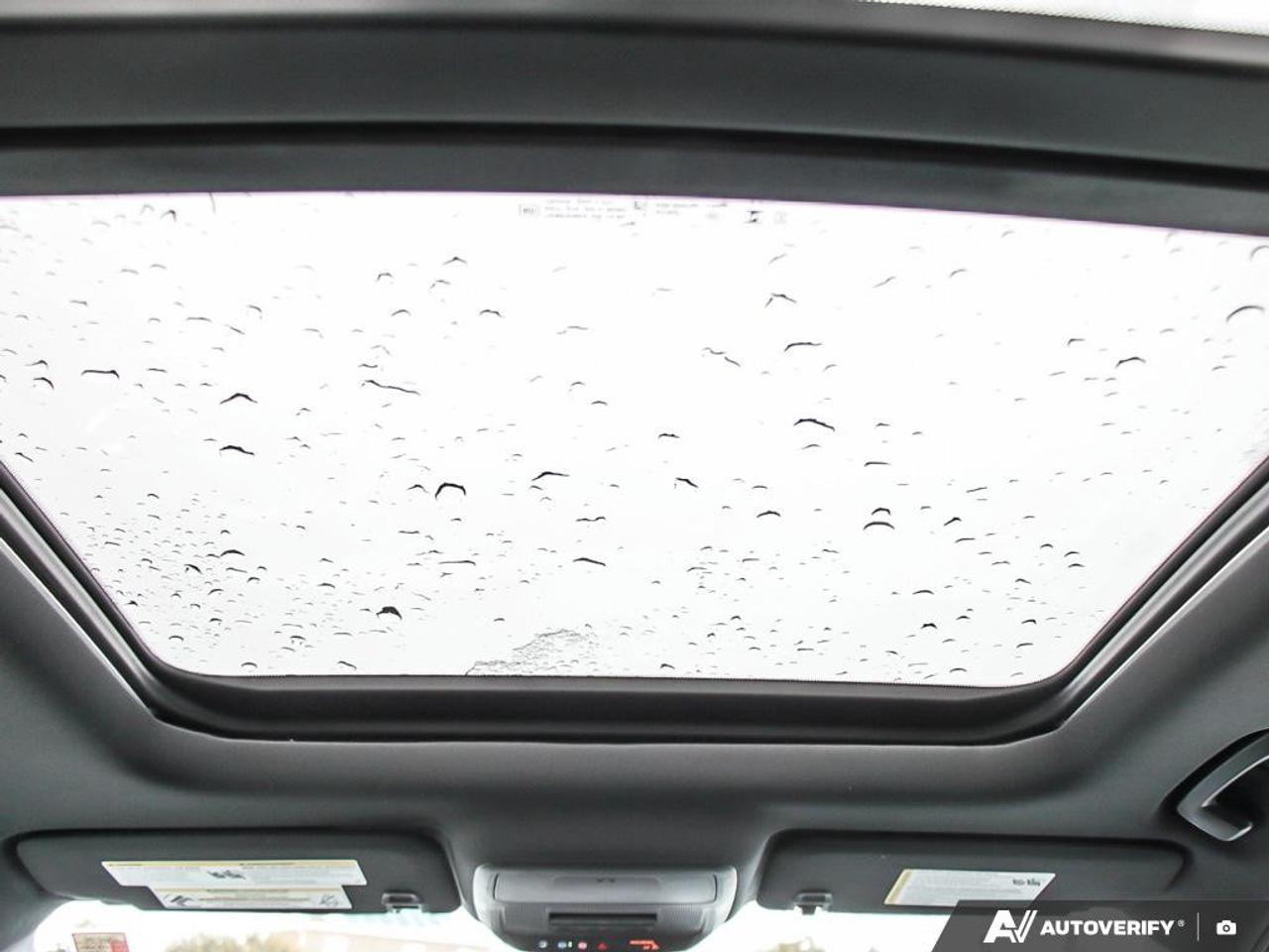 2026 GMC Terrain AWD Elevation Photo