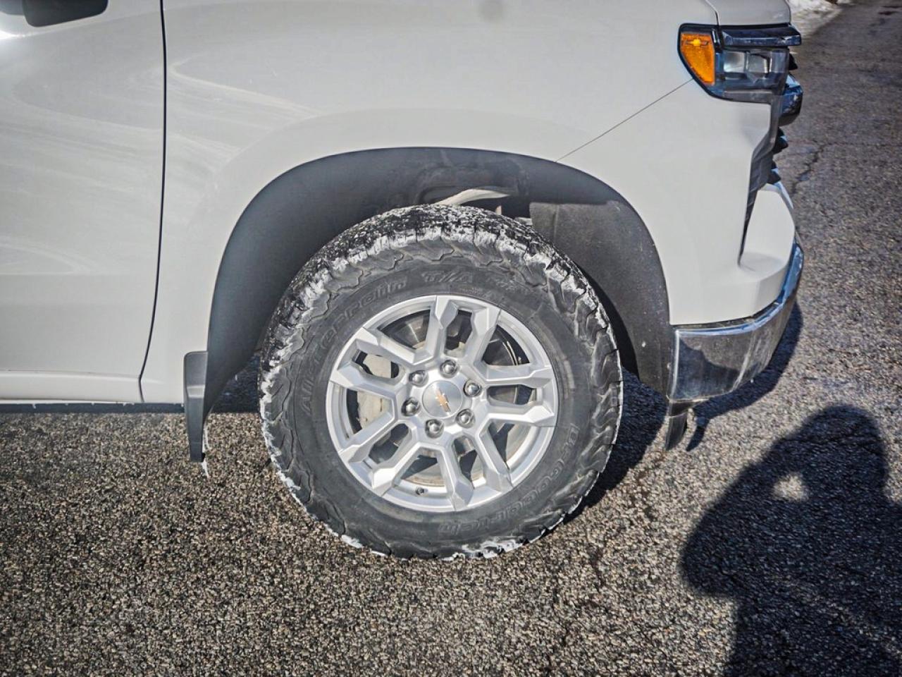 2025 Chevrolet Silverado 1500  Photo