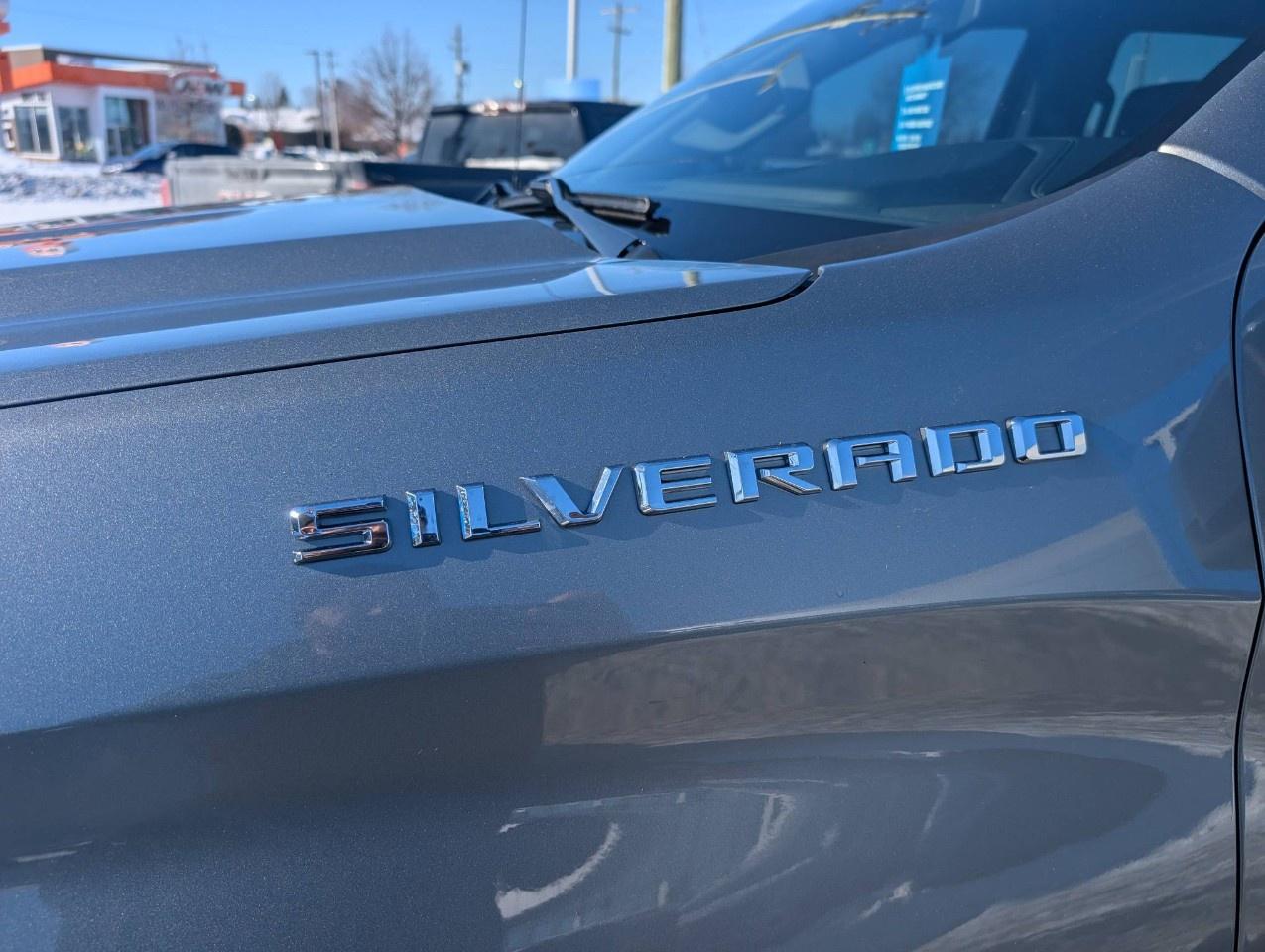 2023 Chevrolet Silverado 1500 Crew Cab Short Box 4-Wheel Drive LT Photo