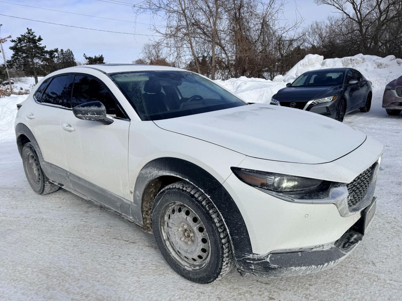 2022 Mazda CX-30 GT w/Turbo 4dr i-ACTIV All-Wheel Drive Sport Utility Photo
