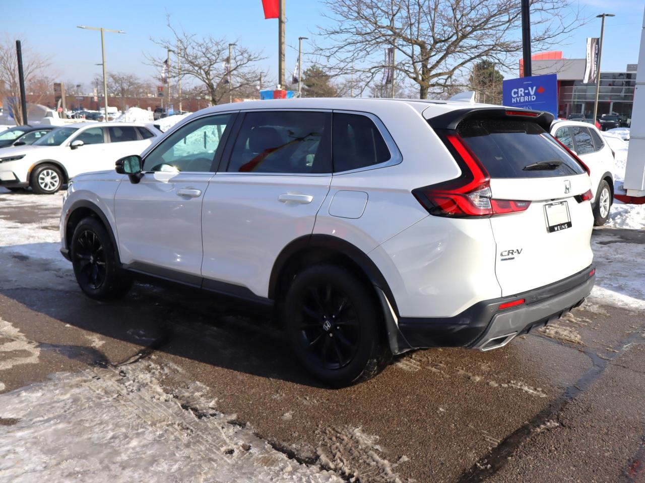 2024 Honda CR-V Hybrid EX-L 4dr All-Wheel Drive Photo